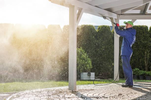Best Patio and Deck Pressure Washing  in Belvidere, IL