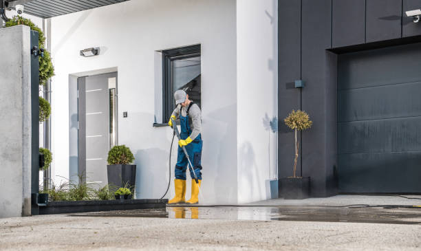 Best Fence Cleaning  in Belvidere, IL